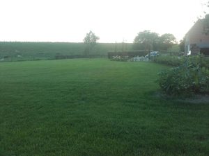 Gras zaaien Ochten