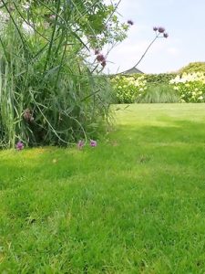 Gras zaaien Opheusden