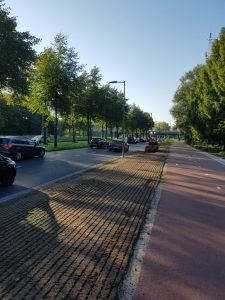 Gras zaaien Amsterdam
