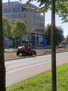 Gras zaaien Amsterdam