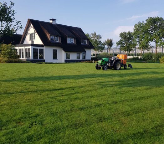 Onkruidbestrijding Vleuten