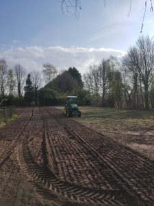 Gras zaaien Steenbergen