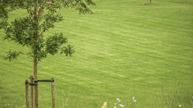 Grastotaal - Gras zaaien - Opheusden