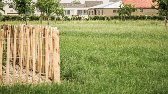 Grastotaal - gras zaaien - Weide Lienden