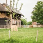 Grastotaal - gras zaaien - Weide Lienden