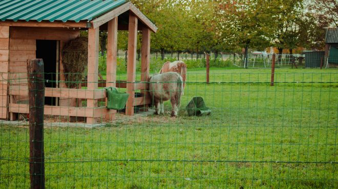 Gras zaaien Grastotaal Kesteren Boerderij