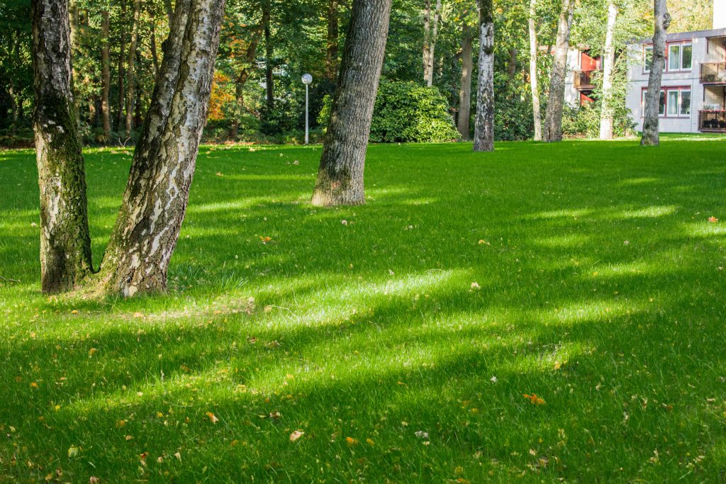 Grastotaal gras zaaien Wageningen