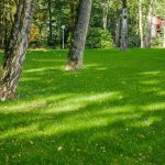 Grastotaal gras zaaien Wageningen