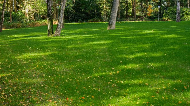 Grastotaal gras zaaien Wageningen