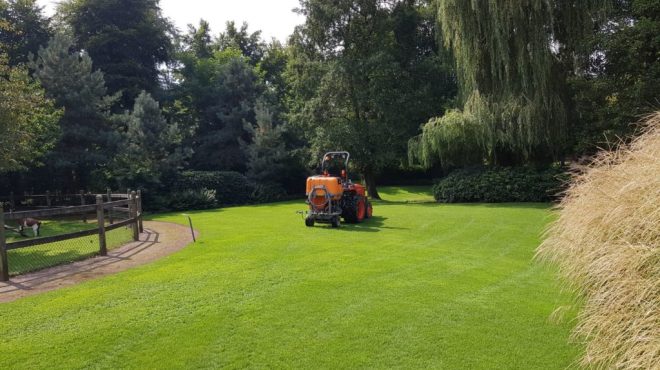 Wadenoijen. (Onkruid bestrijding door Grastotaal.nl)