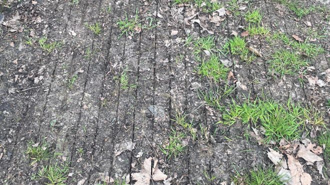 Resultaat Vredo snijtechniek