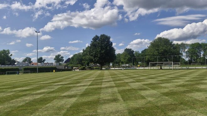 WhatsApp Image 2026-01-12 at 16.48.13 (1)