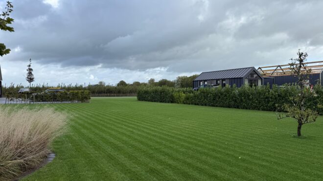 Jong gazon - Grastotaal.nl Jong gazon - Grastotaal.nl